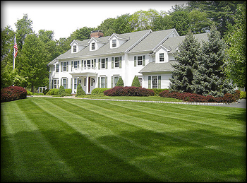 Premier Lawn Care Services